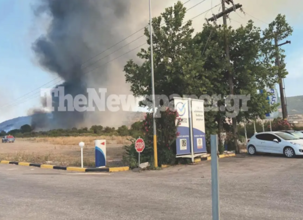 Βόλος: Φωτιά περιμετρικά της πόλης και κοντά σε εργοατάσια της ΒΙΠΕ