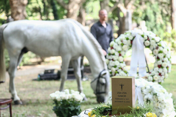 Ζα Ζα Γκαμπόρ: Στη Βουδαπέστη οι στάχτες της - Μετά από πτήση στην πρώτη θέση με χαβιάρι και σαμπάνια