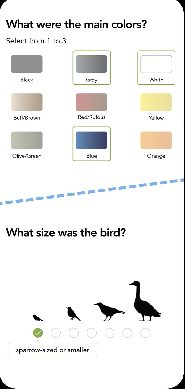«Shazam» για πουλιά: Μια εφαρμογή τα αναγνωρίζει από το κελάηδισμα 
