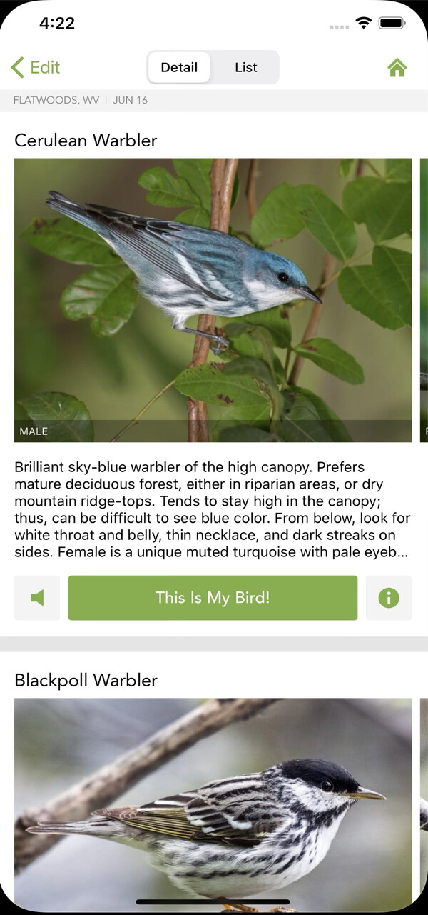 «Shazam» για πουλιά: Μια εφαρμογή τα αναγνωρίζει από το κελάηδισμα 