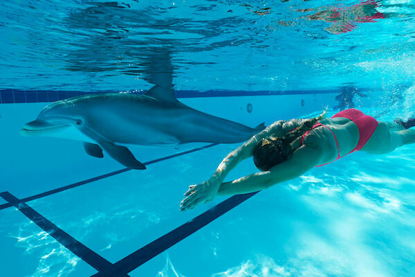 Ένας κόσμος χωρίς αιχμάλωτα δελφίνια: Ρομποτικά ζώα στα πάρκα