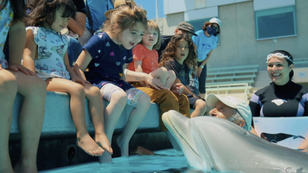 Ένας κόσμος χωρίς αιχμάλωτα δελφίνια: Ρομποτικά ζώα στα πάρκα