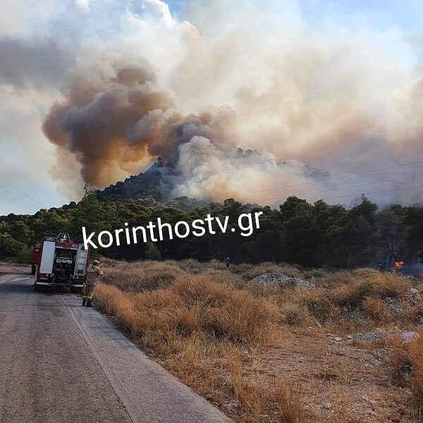 Πυρκαγιά στην Κορινθία: Εκκενώθηκε η κοινότητα Ρυτό- Μεγάλη κινητοποίηση της Πυροσβεστικής