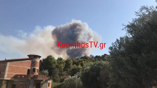 Mεγάλη πυρκαγιά στην Κορινθία- Μήνυμα από 112 για εκκένωση χωριού