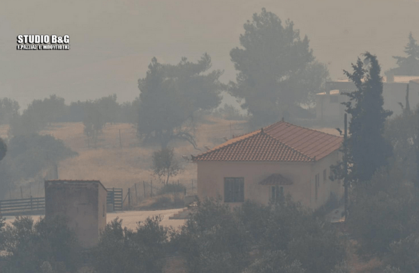 Φωτιά στην Αργολίδα: Εκκενώθηκε προληπτικά το χωριό Γκάτζια (Εικόνες)