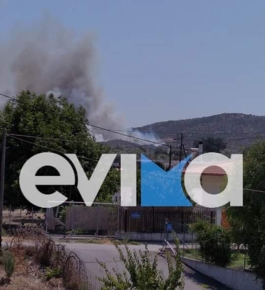 «Συναγερμός» για φωτιά στη Χαλκίδα κοντά σε κατοικημένη περιοχή (εικόνες)