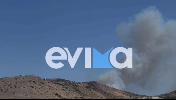 «Συναγερμός» για φωτιά στη Χαλκίδα κοντά σε κατοικημένη περιοχή (εικόνες)
