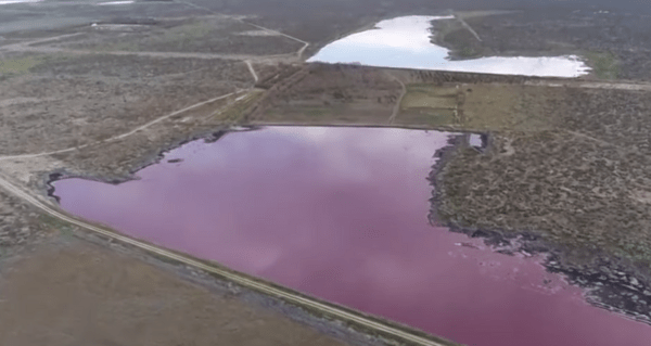 Λιμνοθάλασσα στην Αργεντινή έγινε ροζ, λόγω των αποβλήτων