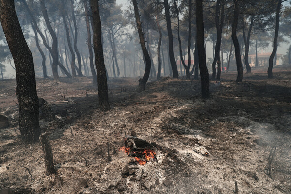 Σταμάτα: Κάηκαν σπίτια και αυτοκίνητα - Εικόνες καταστροφής από την ανεξέλεγκτη φωτιά