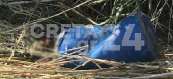 Ρέθυμνο: Εντοπίστηκαν ανθρώπινα οστά μέσα σε βαρέλι - Στον ιατροδικαστή τα μακάβρια ευρήματα