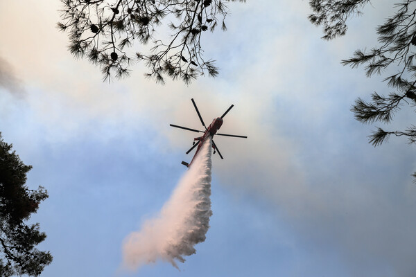 Φωτιά στην Αχαΐα: Ενισχύθηκαν οι πυροσβεστικές δυνάμεις στη Δροσιά- Πολύ υψηλός κίνδυνος πυρκαγιάς σήμερα