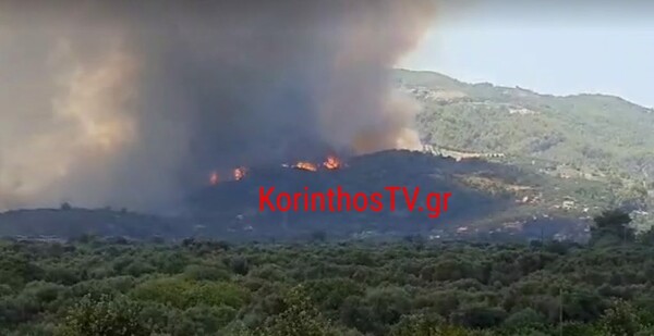 Μεγάλη φωτιά στη Ζήρια Αχαΐας: Εκκενώθηκαν τρεις οικισμοί - Εντολή να κλείσει η Εθνική Οδός στο Δρέπανο 