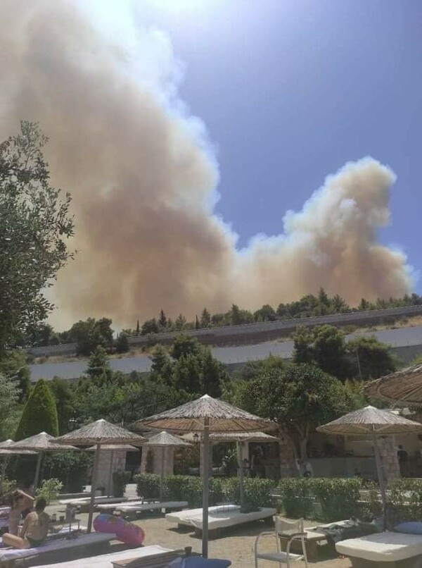 Μεγάλη φωτιά στη Ζήρια Αχαΐας: Εκκενώθηκαν οικισμοί, έκλεισε παλιά και νέα Εθνική Οδός- Μήνυμα από το 112