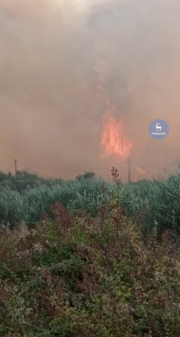 Ανεξέλεγκτη η φωτιά στη Ρόδο: Μήνυμα από το 112, εκκένωση οικισμών - Πυρκαγιές σε Αγρίνιο, Φάρσαλα & Σουφλί