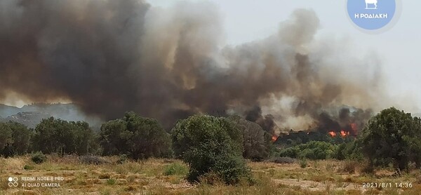 Πυρκαγιά στη Ρόδο: Χωρίς ρεύμα μεγάλο μέρος του νησιού - Εκκενώθηκε η Κοιλάδα των Πεταλούδων (Εικόνες)