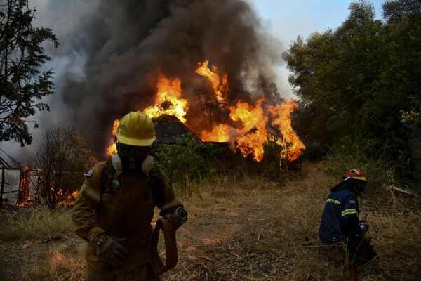 Φωτιές σε Φθιώτιδα και Μεσσηνία - Εισήγηση για προκλητική εκκένωση οικισμού