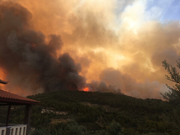 Λίμνη Εύβοιας: Η θάλασσα σταμάτησε τις φλόγες - Κάηκαν σπίτια, δέντρα, τουριστικές εγκαταστάσεις