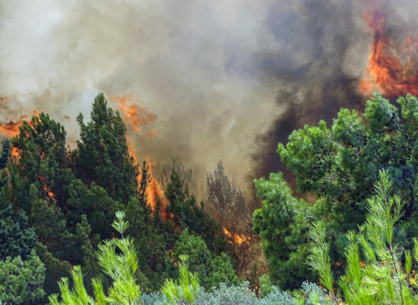 «Συναγερμός» για φωτιά στη Βαρυμπόμπη Αττικής