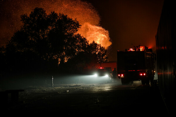 Λέκκας: Οι τρεις παράγοντες για την εξάπλωση της πυρκαγιάς στη Βαρυμπόμπη