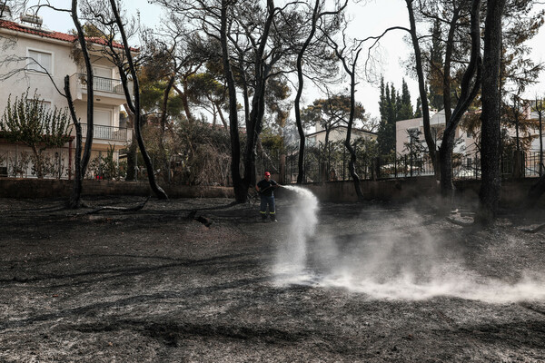 Βαρυμπόμπη, η επόμενη μέρα: Η φωτιά κατέστρεψε δάσος, σπίτια και αυτοκίνητα - Φωτορεπορτάζ