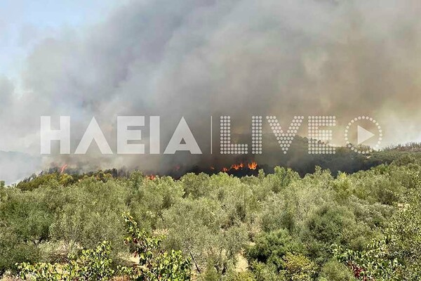 Ηλεία: Μεγάλη φωτιά στην Ηράκλεια- Προληπτική εκκένωση δύο οικισμών