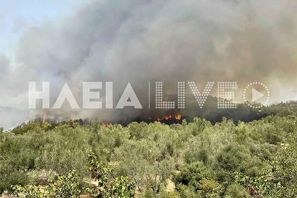 Ηλεία: Μεγάλη φωτιά στην Ηράκλεια- Προληπτική εκκένωση δύο οικισμών