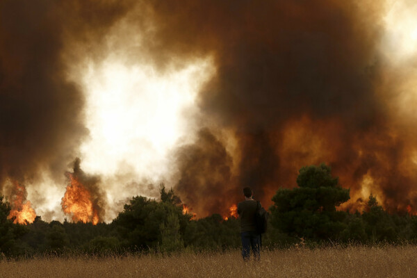 Ασταμάτητη η φωτιά στη Βαρυμπόμπη: Οι φλόγες μπήκαν στη Δροσοπηγή - Εκκενώνονται οι Αφίδνες