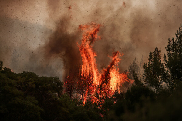Τεράστιο μέτωπο πυρκαγιάς στη Βαρυμπόμπη: Καίγονται σπίτια - Οι φλόγες περνούν μέσα από τους οικισμούς
