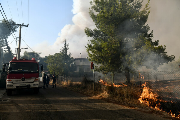 Ανεξέλεγκτη η πυρκαγιά, πέρασε την Εθνική Οδό - Οι καύτρες «πετούν» με τον άνεμο 