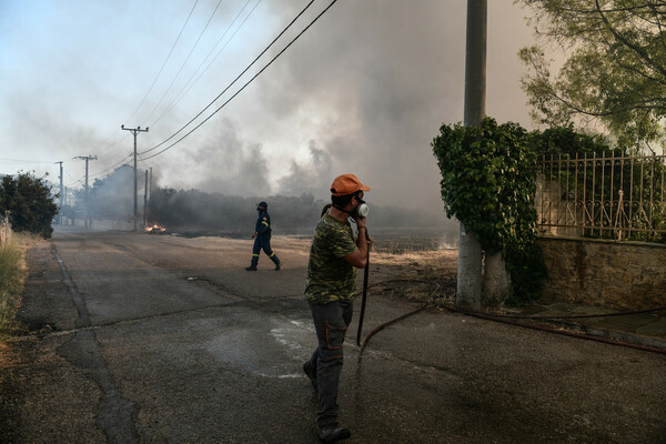 Ανεξέλεγκτη η πυρκαγιά, πέρασε την Εθνική Οδό - Οι καύτρες «πετούν» με τον άνεμο 