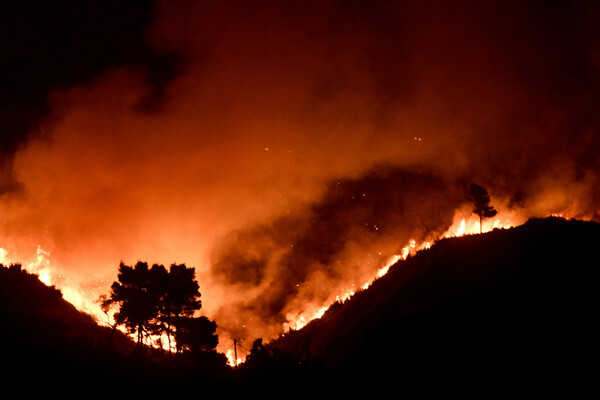 Οι φωτιές καταστρέφουν την βορειοανατολική Αττική - Εκκενώνονται κι άλλοι οικισμοί
