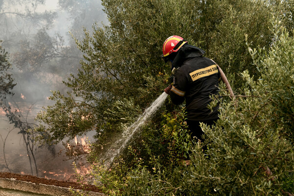 Φωτιά και στην Κρήτη - Στις Γούρνες Ηρακλείου 