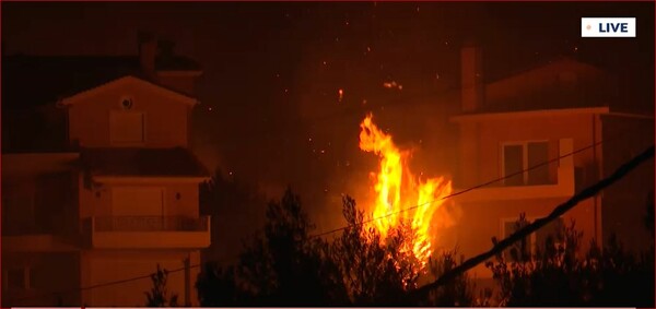 Νέα αναζωπύρωση στην Ιπποκράτειο Πολιτεία - Καίγονται σπίτια 
