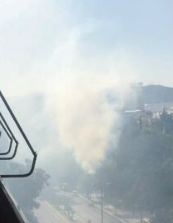 Φωτιά στο Πεδίον του Άρεως: Μία σύλληψη για απόπειρα εμπρησμού