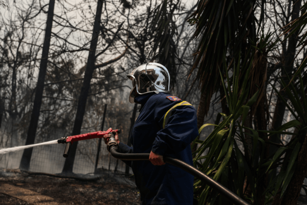 Μεγάλη φωτιά στη Φθιώτιδα: Προειδοποίηση από το 112 για εκκένωση του οικισμού Θεολόγος 