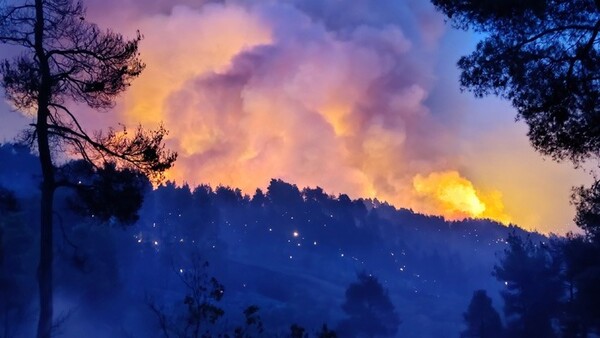 Μαίνεται η πυρκαγιά στη Βόρεια Εύβοια - Απεγκλωβίστηκαν 440 άτομα - Εκκενώθηκαν Στροφυλιά & Κοκκινομηλιά