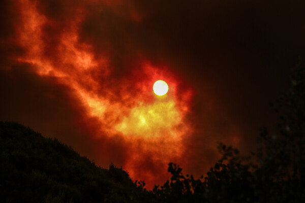 Wildfires