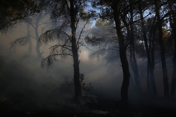 Ανεξέλεγκτη καταστροφή: Η φωτιά σαρώνει Θρακομακεδόνες, Βαρυμπόμπη- Καμένο δάσος τα βασιλικά κτήματα στο Τατόι