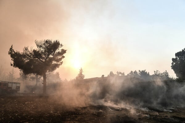 Ανεξέλεγκτη καταστροφή: Η φωτιά σαρώνει ακόμα Θρακομακεδόνες, Βαρυμπόμπη - Καμένο δάσος στα βασιλικά κτήματα (ΕΙΚΟΝΕΣ)