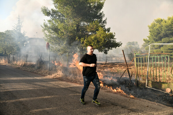 Ανεξέλεγκτη καταστροφή: Η φωτιά σαρώνει Θρακομακεδόνες, Βαρυμπόμπη- Καμένο δάσος στα βασιλικά κτήματα