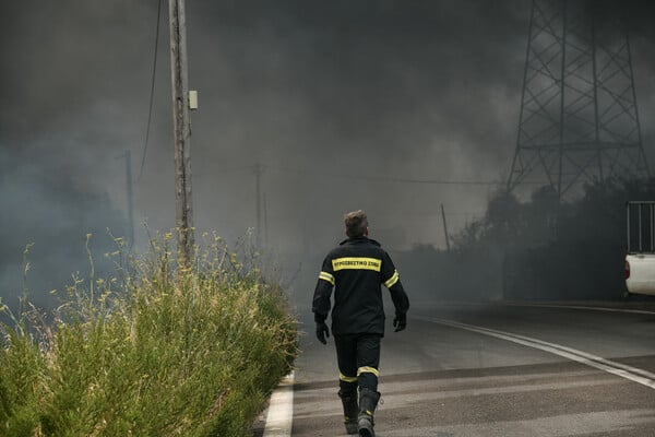 Ανεξέλεγκτη καταστροφή: Η φωτιά σαρώνει Θρακομακεδόνες, Βαρυμπόμπη- Καμένο δάσος στα βασιλικά κτήματα