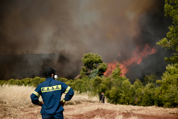 Ανεξέλεγκτη καταστροφή: Η φωτιά σαρώνει Θρακομακεδόνες, Βαρυμπόμπη- Καμένο δάσος στα βασιλικά κτήματα