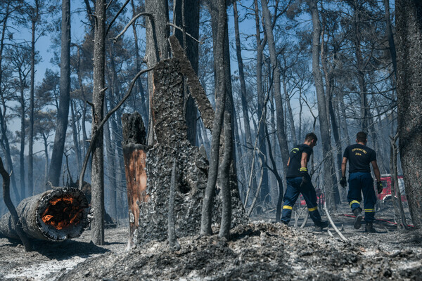 Αστεροσκοπείο Αθηνών: 76.150 στρέμματα έχουν καεί στην Αττική και 197.940 στρέμματα στην Εύβοια