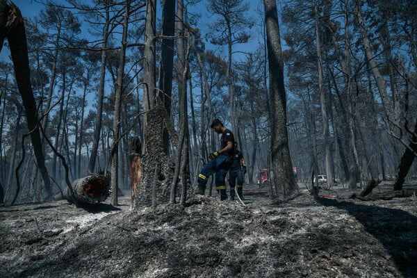 Ανεξέλεγκτη καταστροφή: Η φωτιά σαρώνει ακόμα Θρακομακεδόνες, Βαρυμπόμπη - Καμένο δάσος στα βασιλικά κτήματα (ΕΙΚΟΝΕΣ)