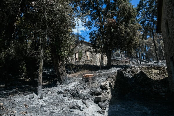 Τατόι: Ό,τι άφησε πίσω της η φωτιά - Φωτορεπορτάζ στα πρώην βασιλικά κτήματα