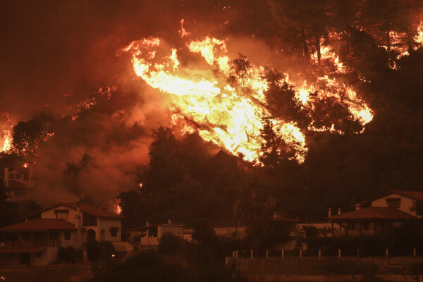 Η φωτιά στην Εύβοια καταστρέφει τα πάντα: Οι φλόγες μπήκαν στις Γούβες και απειλούν το Πευκί