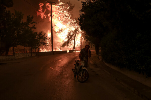 Η βόρεια Εύβοια κάηκε από την μία άκρη ως την άλλη: Στις φλόγες σπίτια και δάση