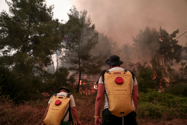 Η βόρεια Εύβοια κάηκε από την μία άκρη ως την άλλη: Στις φλόγες σπίτια και δάση