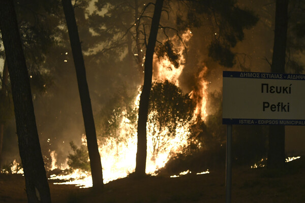 Ανεξέλεγκτη η φωτιά στη Βόρεια Εύβοια: Κάτοικοι κόβουν με αλυσοπρίονα δέντρα- «Θα καούμε» λέει ο δήμαρχος Ιστιαίας
