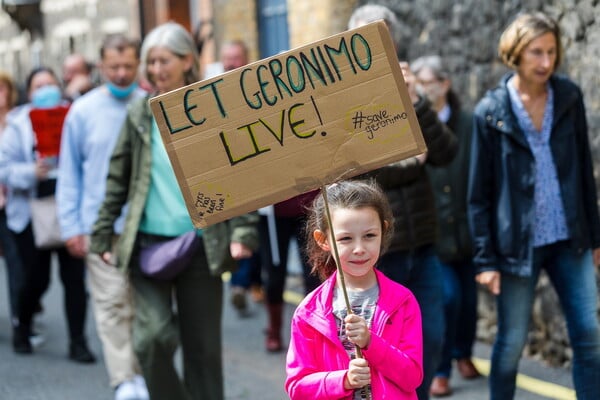 Χιλιάδες Βρετανοί ζητούν να μην θανατωθεί ένα αλπακά: «Δικαιοσύνη για τον Τζερόνιμο»»